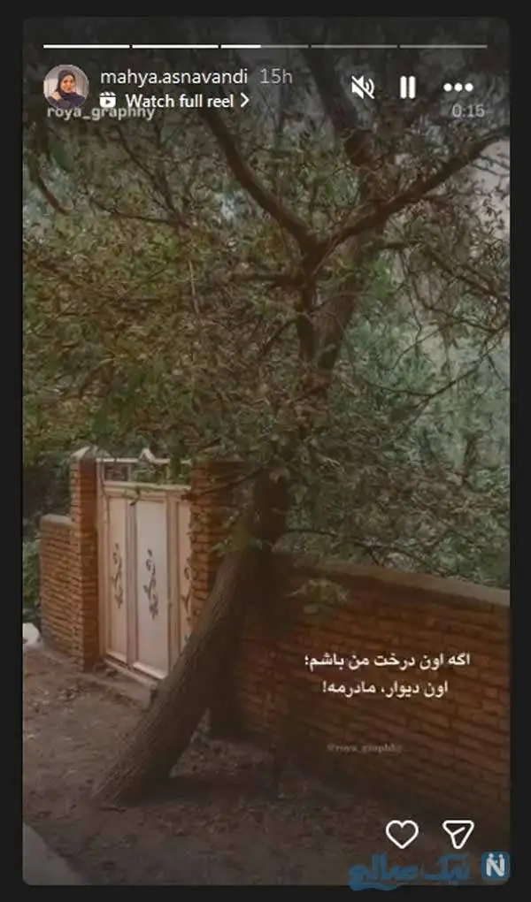 پست جدید هنرمندان / سولماز حسینی در شغال، وحید آقاپور در سریال دشتستان، رستوران گردی هدیه آزدیدهاک، نیلوفر شهیدی و دخترانش، عروسک سازی سارا روستاپور، عاشقانه محیا اسناوندی برای مادرش و نگار نیکدل