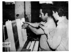 (عکس) سفر به تهران قدیم؛ کارگران سیگار پیچ در کارخانه دخانیات تهران 