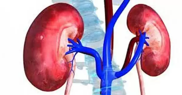 چگونه می توان فهمید کیست کلیه خطرناک است یا نه؟