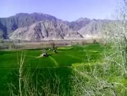 (تصاویر) ایران قدیم؛ قاب های زیرخاکی از جشن برنجکاری در روستا های لاهیجان!