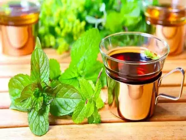 این گیاه ضدریزش مو، ضداسترس، ضدسردرد، ضدنفخ، ضدکبدچرب، ضد دیابت است