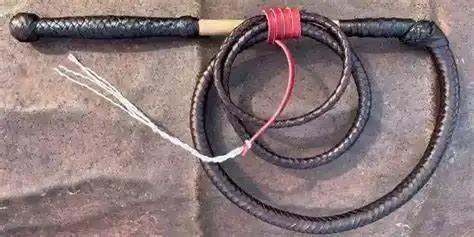 (عکس) سفر به ایران قدیم؛ حکم شلاق برای پسر 10 ساله اجرا شد