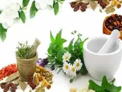 بازگشت به طب سنتی: قسمت دوم
