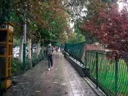 اهالی این استان ها منتظر بارش باران پاییزی باشند