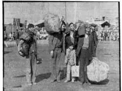 سفر به تهران قدیم؛ راز ساخت خانه های دو و نیم طبقه در تهران