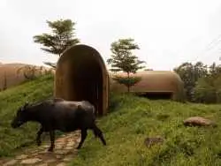 (تصاویر) معماری استثنایی خانه ای با حال و هوای «غار» در هندوستان