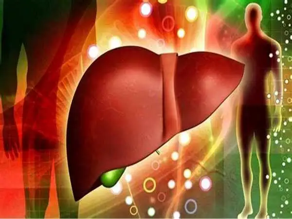معجون هایی برای سم زدایی کبد و کلیه