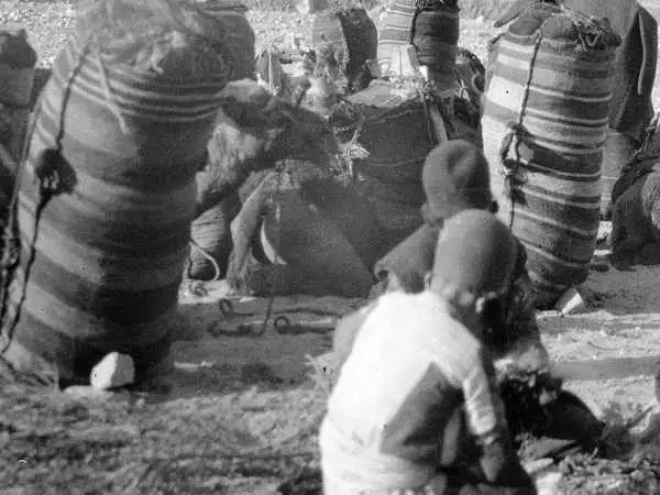 (عکس) سفر به ایران قدیم؛ کاروان زغال فروش ها در اطراف تهران؛ یک قرن قبل
