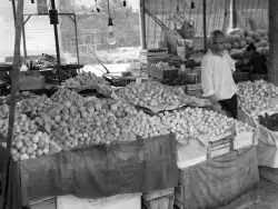 (عکس) سفر به ایران قدیم؛ چطور قیمت سیب زمینی 3برابر شد؟