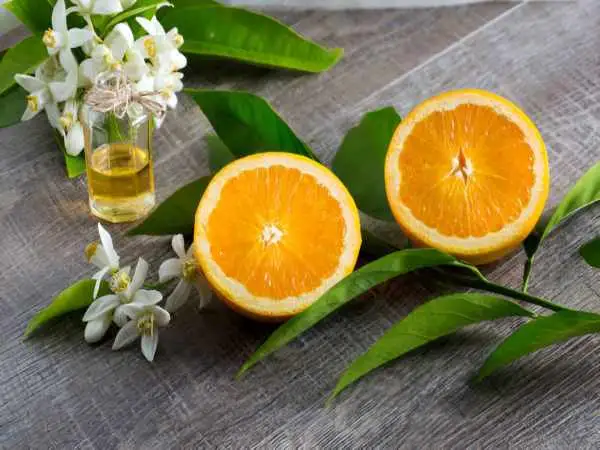 هر آنچه باید درباره ی بهار نارنج و خواص آن بدانید