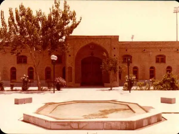 عکس؛ دورهمی 40 جمجمه 5هزار ساله در امیرآباد