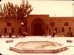 عکس؛ دورهمی 40 جمجمه 5هزار ساله در امیرآباد