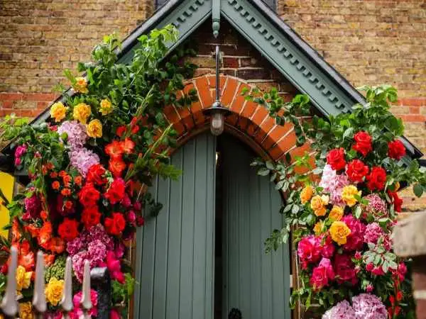 تصاویر؛ 10 گیاه «خوشبو» برای کاشتن در ورودی خانه