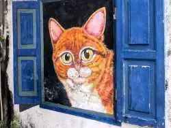 تصاویر؛ هنر خیابانی؛ شهری در مالزی که به خاطر نقاشی های دیواری اش معروف شده است