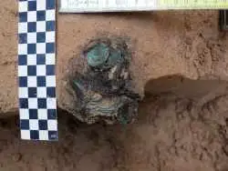 گنج سکّه های 700 ساله از «وسط خیابان» بیرون آمد