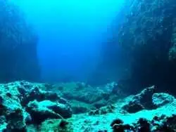 پژوهش جدید: انسان هنوز 99.999 درصد از کف اقیانوس ها را ندیده  است