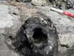 تنۀ درختی که در زیر زمین کشف شد، یک «لولۀ آب رومی» بود