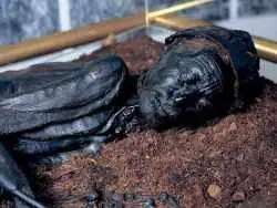 مشهورترین «مومیایی های مرداب» و رازهایی که از دوران باستان فاش می کنند