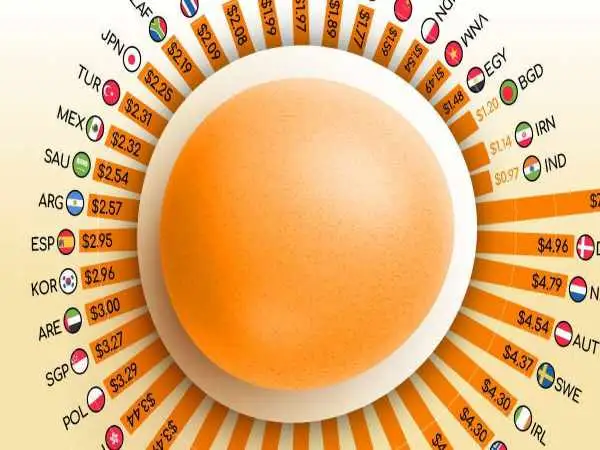 جدول؛ بررسی جهانی قیمت تخم مرغ؛ از گرانی در اروپا تا ارزانی در آسیا 