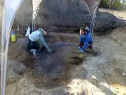 «چاقوی رومی» و «نگینی با تصویر یک خدا» در یک مزرعه پیدا شدند