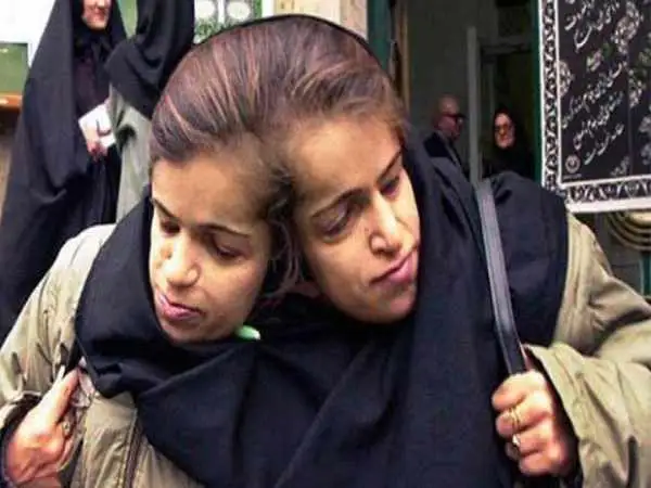 عکس؛ سفر در زمان؛ «پیکر لاله و لادن در یک مسجد سنگاپور»؛ سال 1382