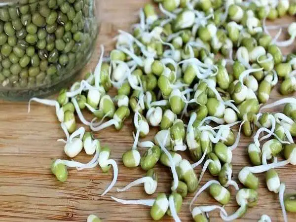 بمب ویتامین و پروتئین را بشناسید