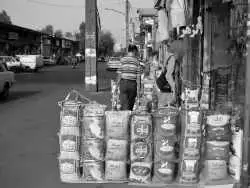 عکس؛ سفر در زمان؛ برنج پاکستانی چگونه به سفره ایرانی ها رسید؟