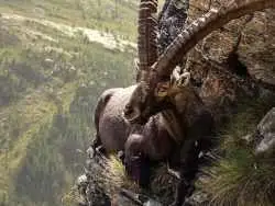 تصاویر؛ قاب های ناب و متفاوت از حیات وحش؛ از «تولد مار» تا «استراحتگاه بز کوهی»