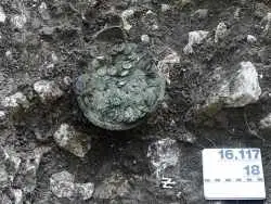 گنج «کوزۀ پول خُرد» 1700 ساله توسط جویندۀ آماتور در جنگل کشف شد