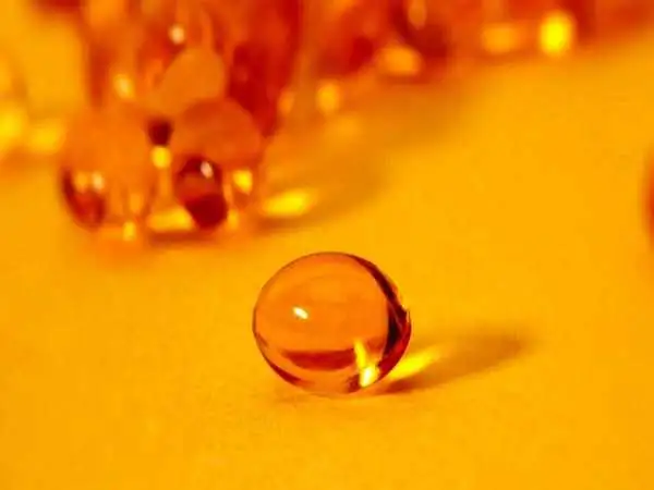 ویتامین d را با این ماده غذایی گیاهی تامین کنید