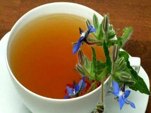 اگر عصبی می شوید این نوشیدنی را بخورید