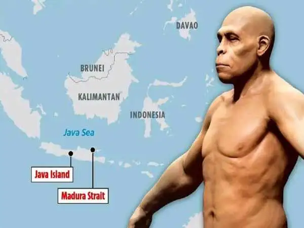 تصاویر؛ کشف شهر 140 هزار ساله از اعماق اقیانوس