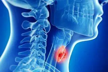 غذاهای مفید برای کنترل تیروئید