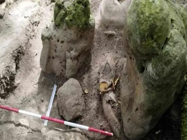 شهر 3 هزار سالۀ مایاها در جنگل های گواتمالا کشف شد