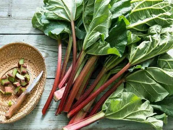 این خوراکی ترش مزه، قلب و کبدتان را نجات می دهد