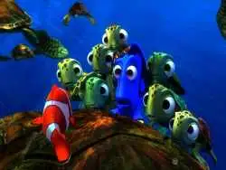 یک دلقک ماهی از سیدنی، جهان را شیفته خود کرد