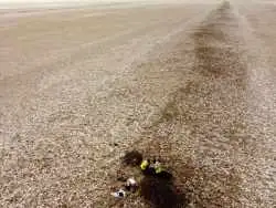 کشف یک سیستم آبیاری در عراق که در زمان «شورش بردگان علیه خلافت عباسی» ساخته شده است