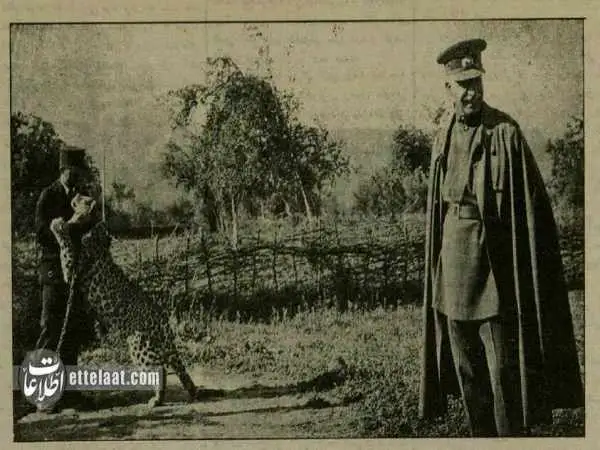 عکس؛ سفر به ایران قدیم؛ پلنگ مازندران مقابل رضاشاه آبروداری کرد!