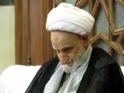 عکس؛ سفر در زمان؛ «آیت الله بهجت در کنار پسرش علی بهجت»؛ دهه 80