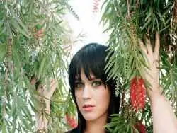 عکس؛ سفر در زمان؛ ظاهر «کیتی پری، خواننده مشهور» در 20 سالگی؛ سال 1383