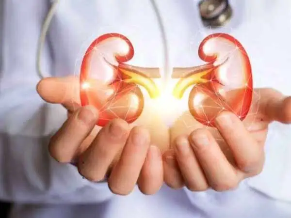 این نوشیدنی ها سنگ کلیه را از بین می برند