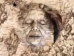 تصاویر؛ خلاقیت هنرمند کانادایی که «چهره ها» را از دل چوب های پیچ خورده بیرون می کشد