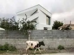 تصاویر؛ دوزیست، منفک با متریال ارزان؛ ویلای آخر هفته چشم معماران را گرفت