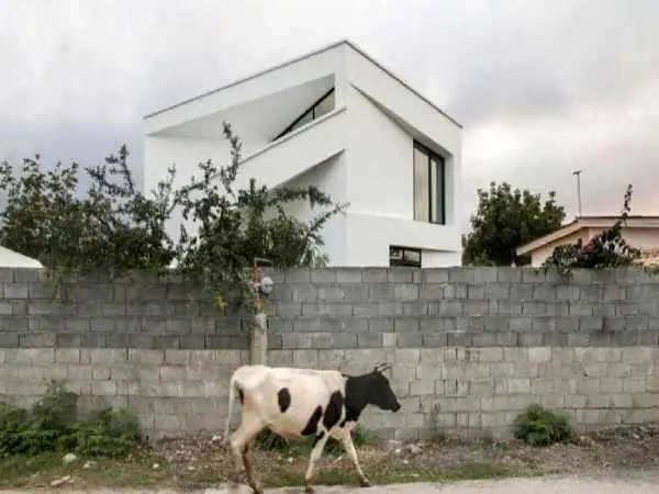 تصاویر؛ دوزیست، منفک با متریال ارزان؛ ویلای آخر هفته چشم معماران را گرفت
