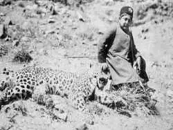 عکس؛ قله ای به نام پلنگ های تهران