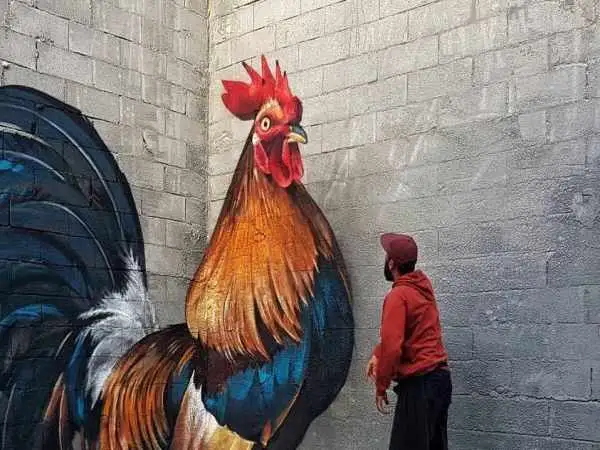 تصاویر؛ هنر خیابانی؛ 10 شاهکار هنری خلاقانه از سراسر دنیا