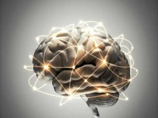 وزن شما چه ارتباطی با مغزتان دارد؟