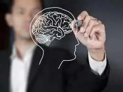 سکوت کنید تا مغزتان سلامت بماند