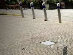 عکس؛ هنر خیابانی؛ خلاقیت هنرمندی که «کوسۀ وحشی» را از «سنگفرش پیاده رو» بیرون کشیده است