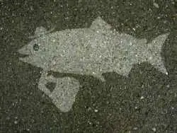 تصاویر؛ هنر خیابانی؛ نقاشی های خلاقانه ای که فقط «زیر باران» دیده می شوند